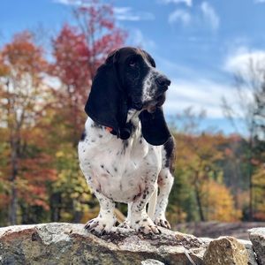 Meet your Posher, Hope